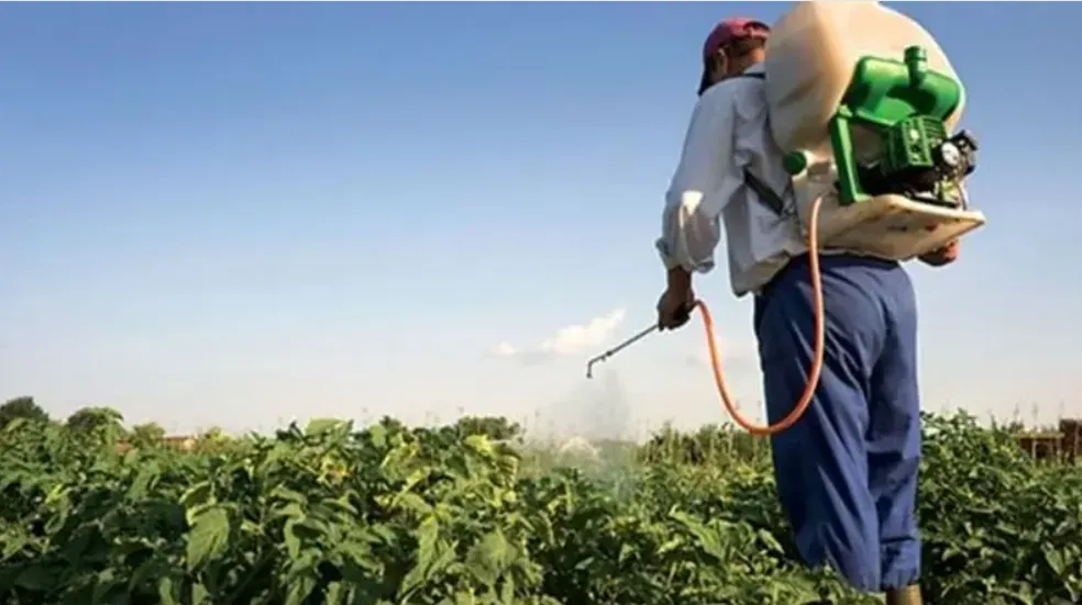 وثيقة صادمة: الحوثيون يسهّلون إدخال مبيدات إسرائيلية محرّمة دوليًا مقابل أموال وثيقة صادمة: الحوثيون يسهّلون إدخال مبيدات إسرائيلية محرّمة دوليًا مقابل أموال