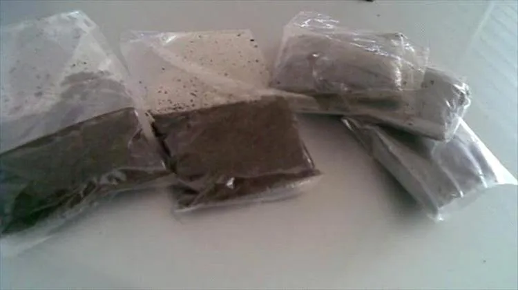 كارثة تتسلل إلى المدارس.. انتشار "الشمة" بين طلاب الابتدائي يثير القلق