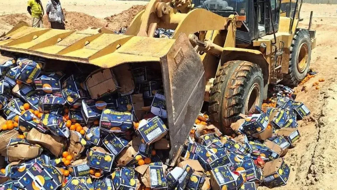 المهرة.. إتلاف 2864 كرتون برتقال متعفن في منفذ شحن