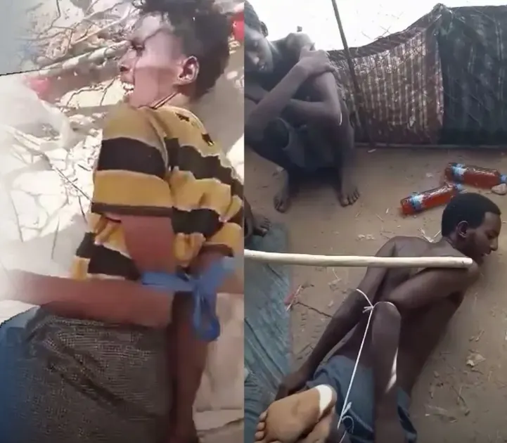 في ضواحي أحوار في أبين (محاشر) سرية لتعذيب الأفارقة ولا من مغيث