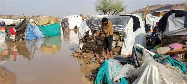 الفاو تحذر من أمطار غزيرة وسيول محتملة تهدد الزراعة والبنية الريفية في اليمن