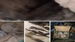 حملة أمنية في الوازعية بتعز تضبط مطلوبين وتعثر على أسلحة وألغام وعبوات ناسفة