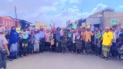 أبين.. مقتل شاب على يد شقيقه وتظاهرة في أحور تطالب بمنع السلاح