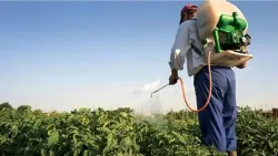 وثيقة صادمة: الحوثيون يسهّلون إدخال مبيدات إسرائيلية محرّمة دوليًا مقابل أموال