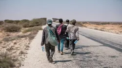 الهجرة الدولية: وصول أكثر من 17 ألف مهاجر إفريقي إلى اليمن خلال شهر