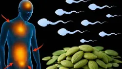 تجديد شباب المثانة والبروستاتا: وصفات طبيعية فعالة تتصدرها بذور اليقطين