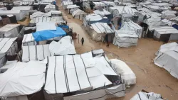 القوارض والحشرات تفاقم معاناة النازحين في غزة