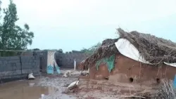 المنظمة الدولية للهجرة: دعم عاجل لـ2200 أسرة يمنية تضررت من السيول