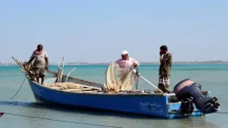 قوة بحرية إريترية تحتجز صيادين يمنيين في البحر الأحمر وتصادر قاربهم ومعداتهم