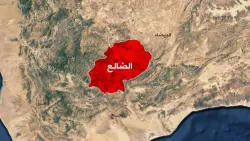 أمن الضالع يضبط خمسة متهمين في حادثتي إطلاق نار أسفرتا عن قتيل وتسعة مصابين